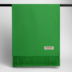 Pashmina Scarf
