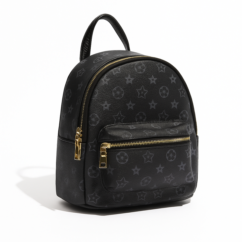 Louis Vuitton Palm Springs Mini Backpack